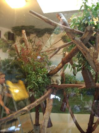 That's all folks... That's all folks...