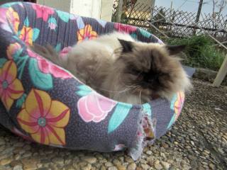 Elle est déjà mourue...    Elle est déjà mourue...