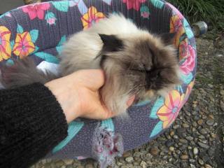 Et la capacité d'aimer au delà de la décomposition du corps...    Et la capacité d'aimer au delà de la décomposition du corps...