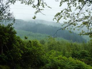 Brume brume... Brume brume...
