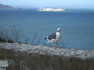 C'est le royaume des oiseaux, et de la fiente, certes... L'un ne va jamais sans l'autre...   