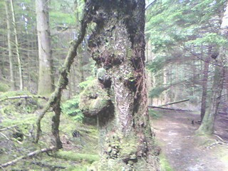 Treeeeeee huuuuuuggggg (sur un mode zombi)...