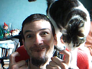 Langue au chat...