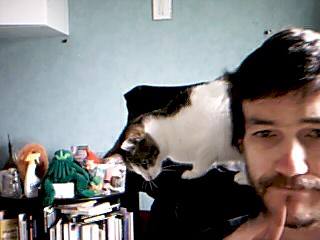 Le langage du chat est moins flou que nous, sans déconner... Comme cette image...