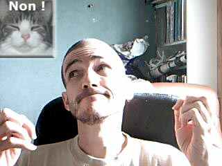 Et Karma, mon chat mort, non plus... 