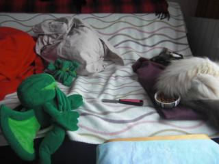 A l'origine, ce n'était pas  nez, mais un orifice non euclidien que j'ai préféré censurer...  