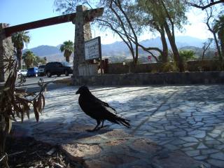 Pitin cong, le cong. J'aurais bien trempé les pieds dans l'eau pourtant...  